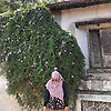 aida_39553