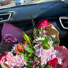 assia_18087