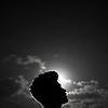 krishna_74987