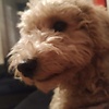 aidan_18594