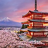 ragavi_20696