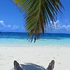 alex_77597