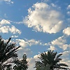 jana_10359