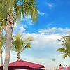 anne_28015