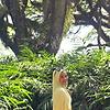 angel_83786