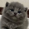 feruza_75504