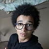 robin_39425