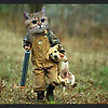 mert_33149
