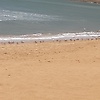 ali_567486