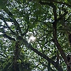 sweetyka_49755
