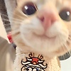 vera_96461