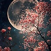 manuela_67904