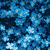 leyla_37471