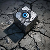 hamza_60881