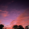 gunel_61134