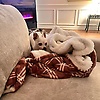 alexander_80676