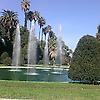 elyas_32108