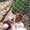 Yusuf_Sahin.Ogdum