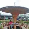 mia_16304