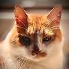 paulina_84634