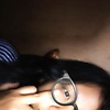 lizzy_58447