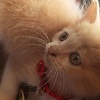 yuliana_60484