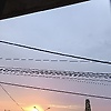 daniel_97664
