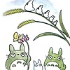 Catconut