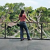clara_faizal