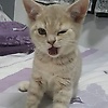 garam_99436