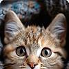 user_660895