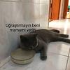 ozzce