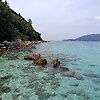 rss_96238