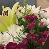 sena_78720