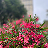 anna_34559