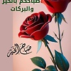 aliahmadi_21534