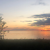 louis_82654