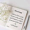malk_35303