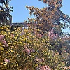 ahmet_30721