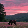 user_844332