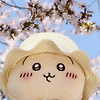user_82432