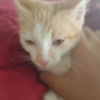 ujeeb_78191
