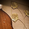 brahim_57502