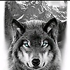 michael_83436