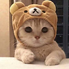 Channy_here
