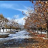e97695802g_76660