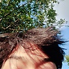 ben_99537