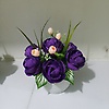 raha_16344