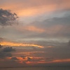 bil_54251