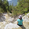 Neottia